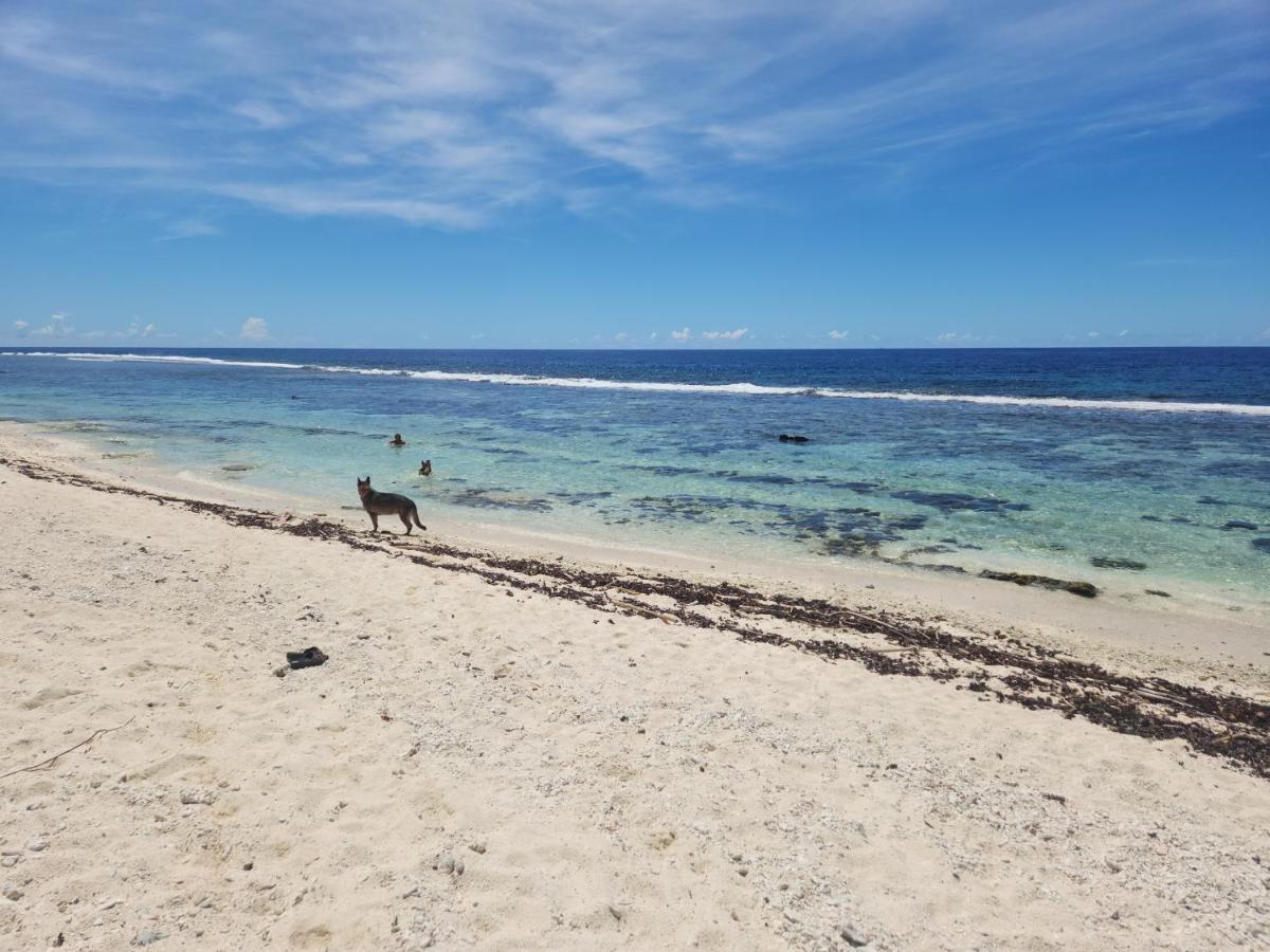 Green Villa Moorea Temae Ngoại thất bức ảnh