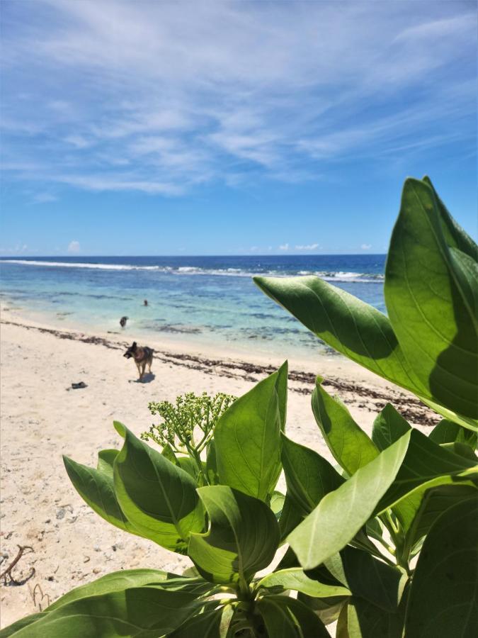 Green Villa Moorea Temae Ngoại thất bức ảnh